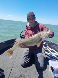 Epic Walleye Catches in Lake Erie